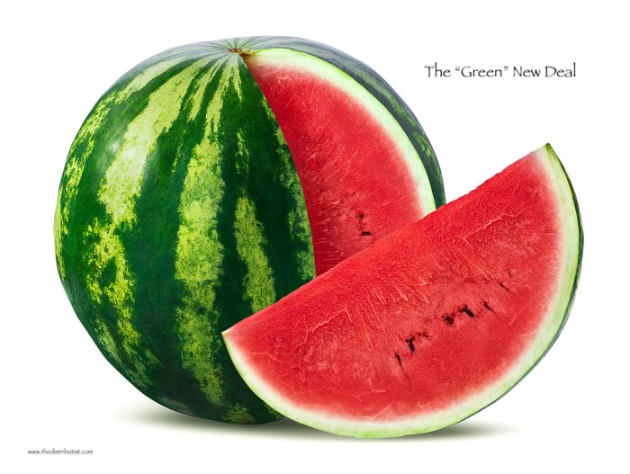Green New Deal Watermelon.jpg